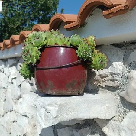 House Inga *
